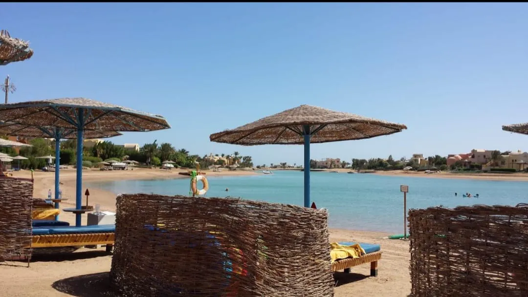 🏖️✨ Zeytouna Beach Day Trip – El Gouna 🌊☀️ Zetouna Beach Day Trip El Gouna /IMG-20260702-WA0114.jpg
